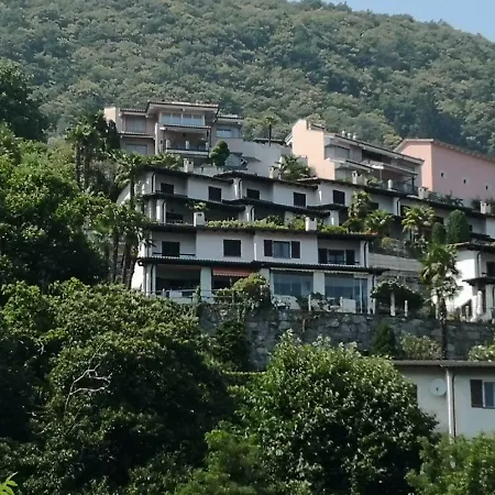 Brilago 6